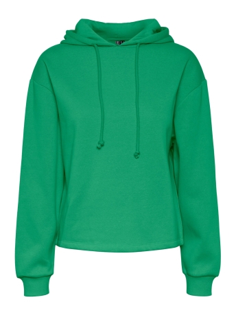 Pieces Trui PCCHILLI LS HOODIE NOOS 17113437 MINT