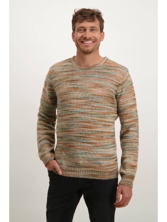 BlueFields Trui PULLOVER CREWNECK P 11143036 3729