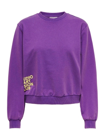 Only Trui ONLNANNA L/S ART O-NECK BOX UB SWT 15317025 PURPLE MAGIC/STUDIO