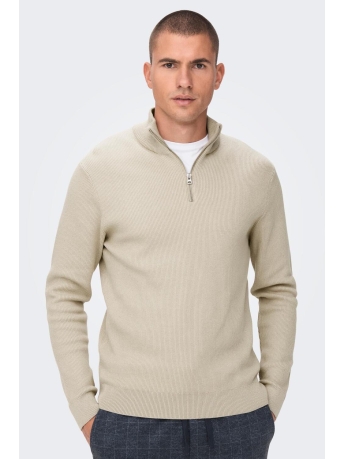 Only & Sons Trui ONSPHIL REG 12 COTTON HALF ZIP KNIT NOOS 22023210 Silver Lining