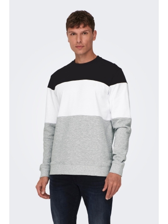 Only & Sons Trui ONSODIS LIFE REG CB CREW NECK SWEAT 22027061 White