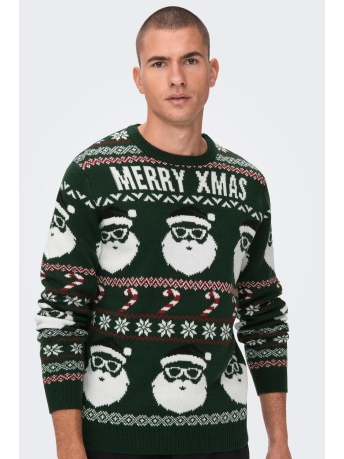 Only & Sons Trui ONSXMAS SANTA JAQ REG CREW KNIT 399 22023994 Eden