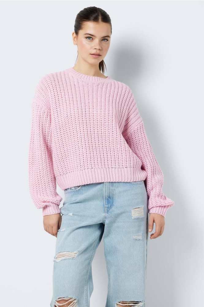 NMCHARLIE L/S O-NECK KNIT 27020786 Pirouette