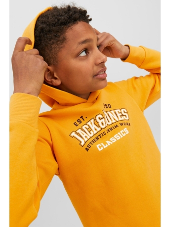 Jack & Jones Junior Trui JJELOGO SWEAT HOOD 2 COL 22/23 NOOS 12212287 Honey Gold