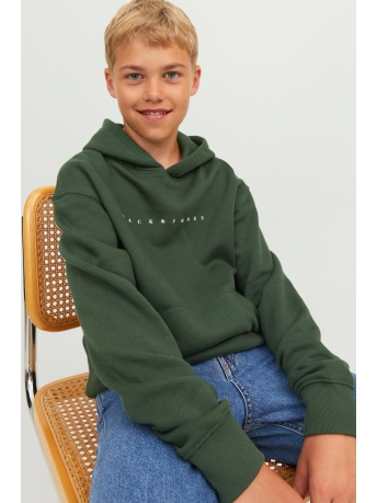 Jack & Jones Junior Trui JJESTAR JJ SWEAT HOOD NOOS JNR 12237468 Mountain View