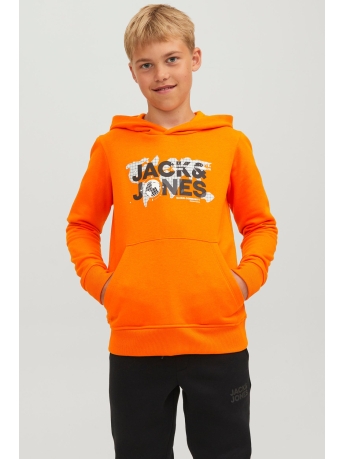Jack & Jones Junior Trui JCODUST SWEAT HOOD SN JNR 12241029 Exuberance
