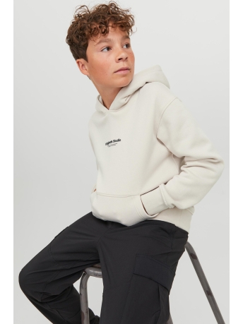 Jack & Jones Junior Trui JORVESTERBRO SWEAT HOOD NOOS JNR 12242469 Moonbeam