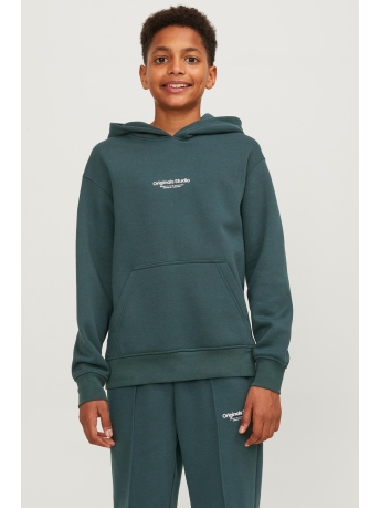Jack & Jones Junior Trui JORVESTERBRO SWEAT HOOD NOOS JNR 12242469 Magical Forest