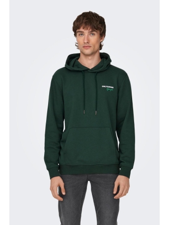 Only & Sons Trui ONSBRETT REG LOGO SWT HOODIE 22027855 Darkest Spruce