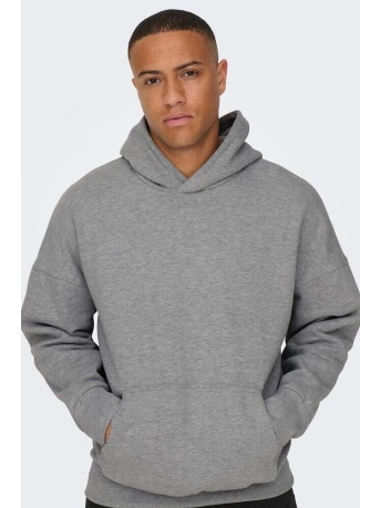 Only & Sons Trui ONSDAN LIFE RLX HEAVY SWEAT HOODIE 22026661 Light Grey Melange