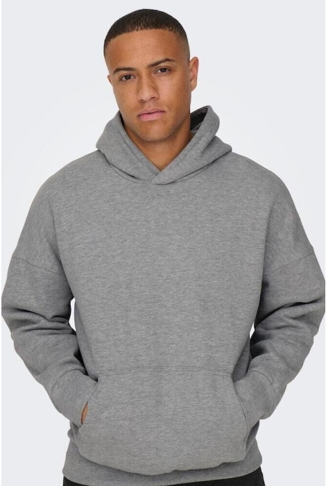 Only & Sons onsdan life rlx heavy sweat hoodie