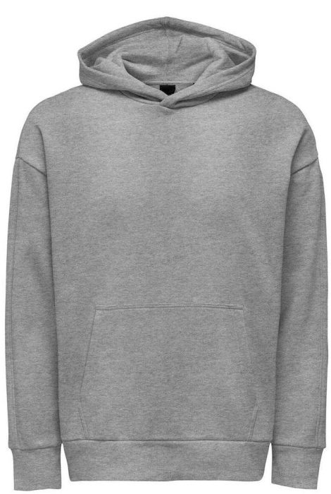 Only & Sons onsdan life rlx heavy sweat hoodie
