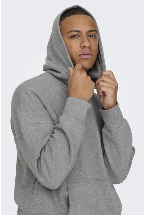 Only & Sons onsdan life rlx heavy sweat hoodie
