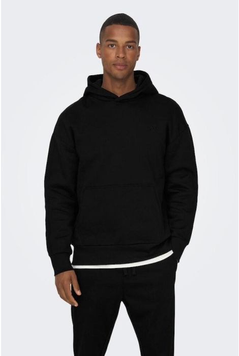 Only & Sons onsdan life rlx heavy sweat hoodie