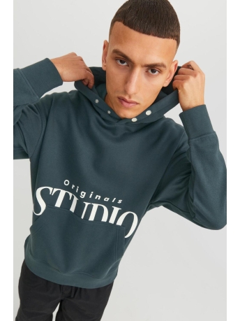 Jack & Jones Trui JORVESTERBRO BACK SWEAT HOOD SN 12245926 Magical Forest