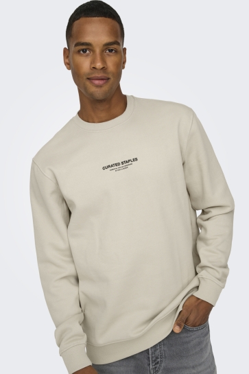 Only & Sons Trui ONSCURATED REG CREW NECK SWEAT 22030923 Silver Lining