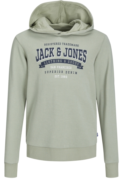 Jack & Jones Junior jjelogo sweat hood 2 col 24 sn jnr