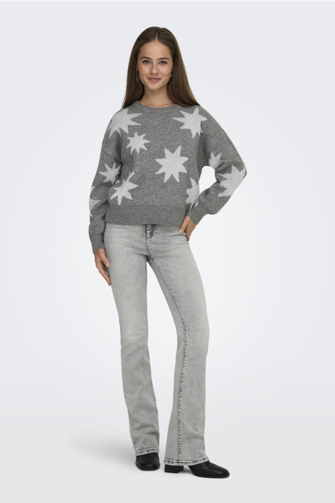 Only grijze dames trui | Model