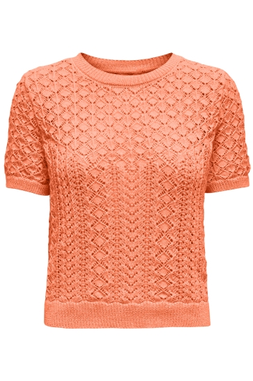 Only Trui ONLSAGA LIFE SS O-NECK CC KNT 15339662 MELON