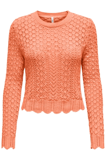 Only Trui ONLSAGA LIFE LS O-NECK CC KNT 15339668 MELON