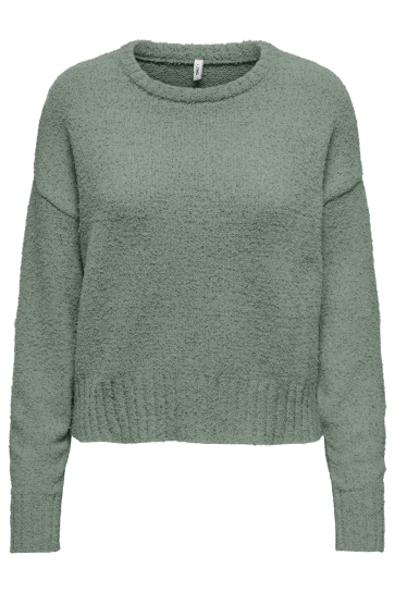 Only Trui ONLTERESA LIFE LS O-NECK LOOSE CC K 15339484 Lily Pad