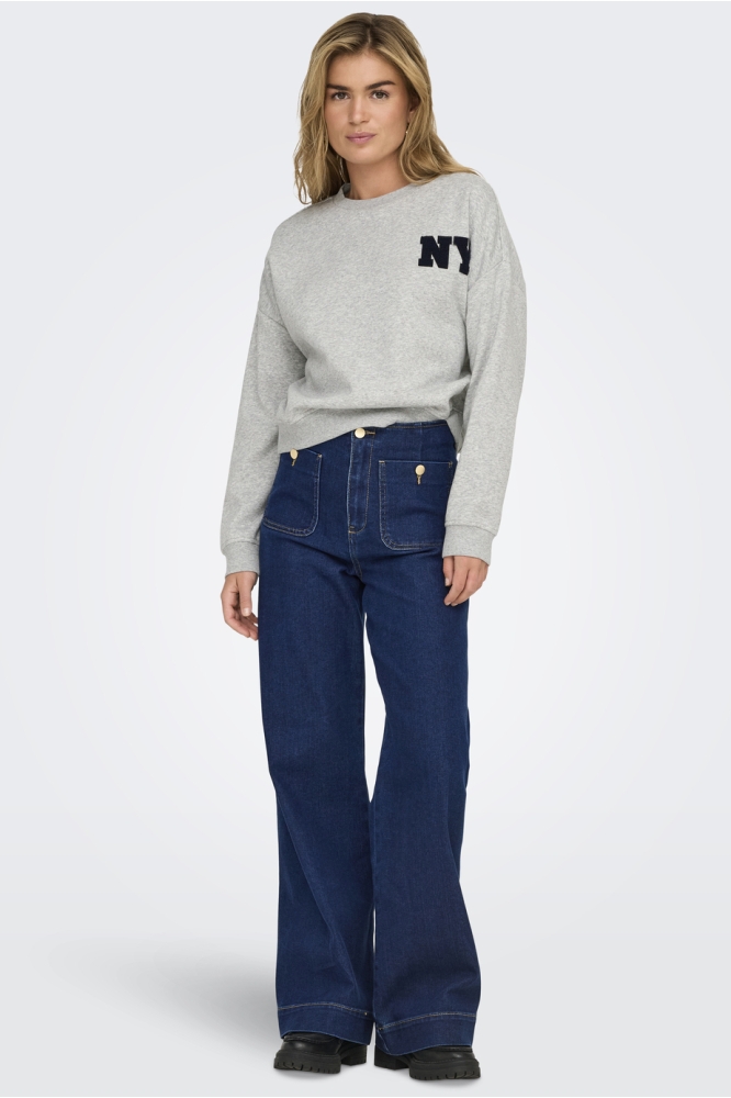 Only grijze dames sweater | Model