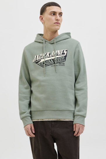 Jack & Jones Trui JJELOGO SWEAT HOOD 2 COL 25/26 NOOS 12279649 Iceberg Green