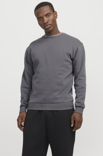 Jack & Jones Trui JJEBRADLEY SWEAT CREW NOOS 12249341 CASTLEROCK