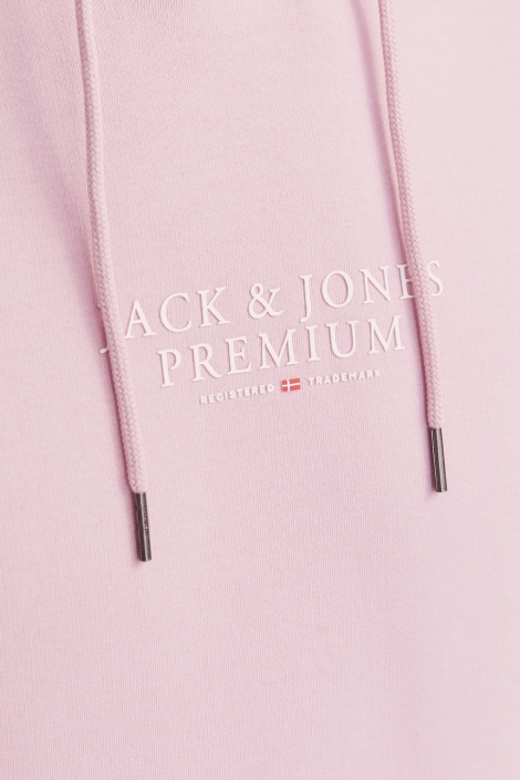 Jack & Jones jprbluarchie sweat hood noos