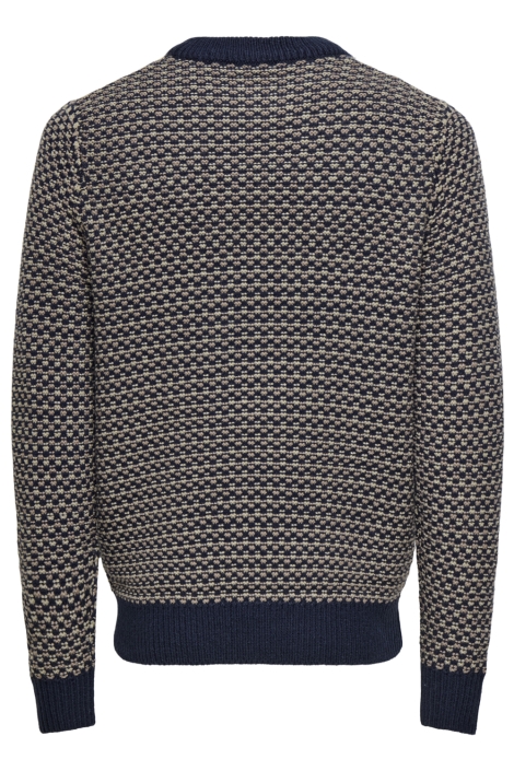 Only & Sons blauwe heren trui | Achteraanzicht