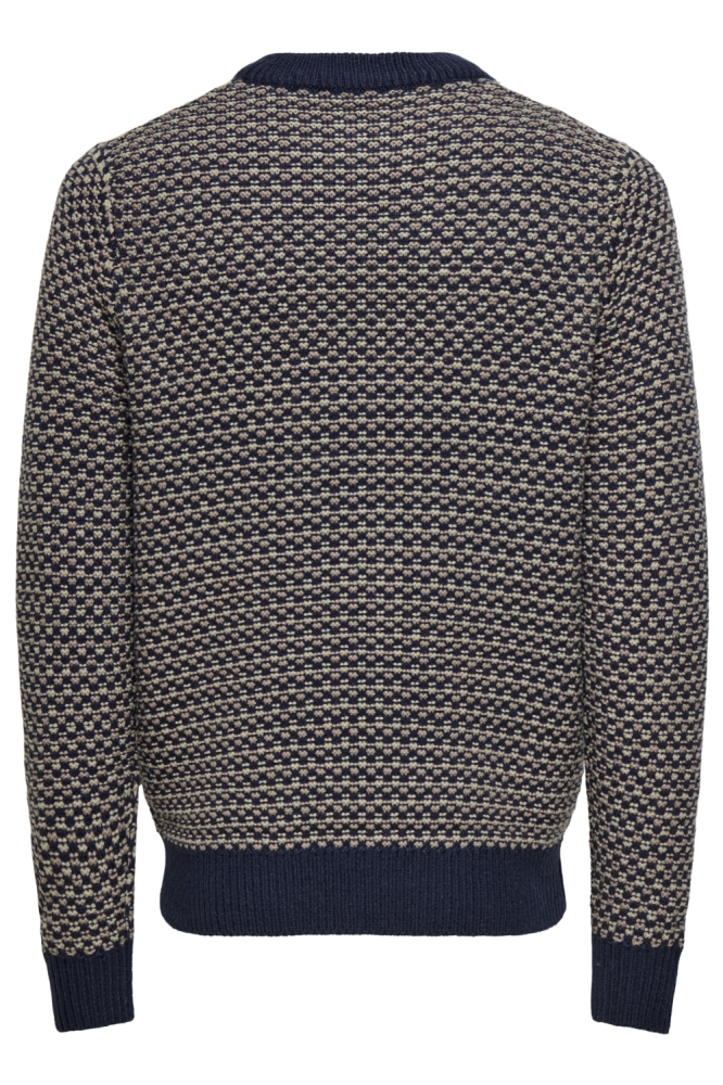 Only & Sons blauwe heren trui | Achteraanzicht