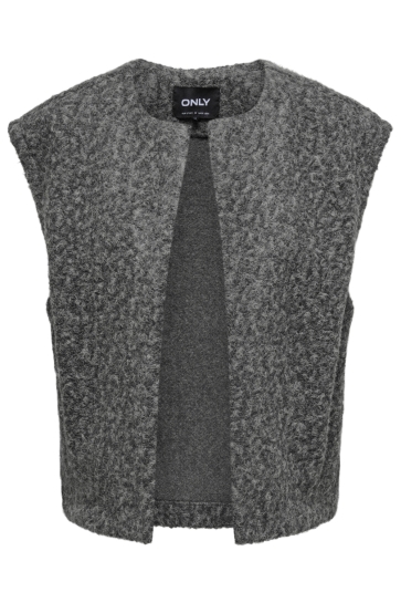 Dit is ook leuk van Only Vest