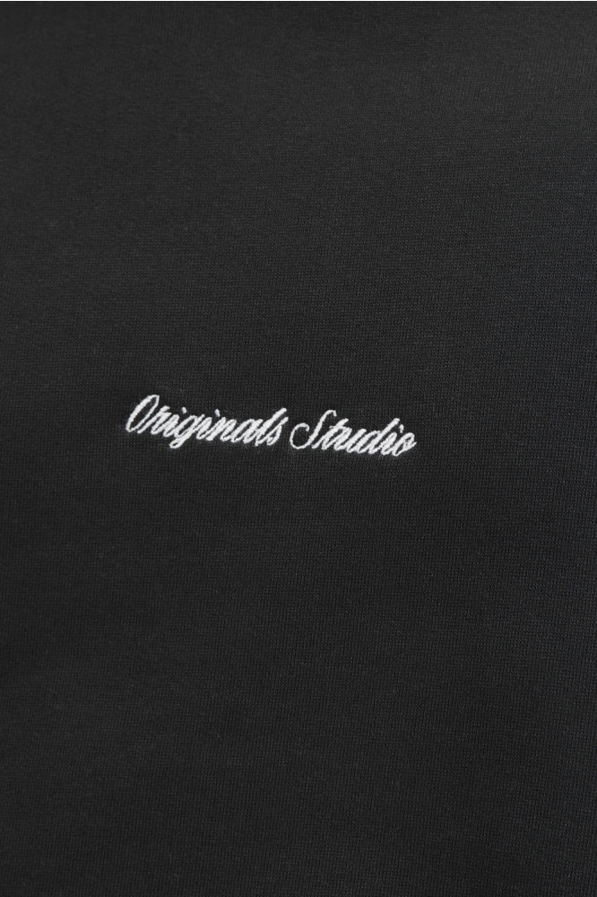 Jack & Jones zwarte heren sweater | Kleurstaal