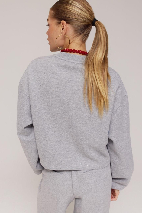 Harper & Yve grijze dames sweater | Model achteraanzicht