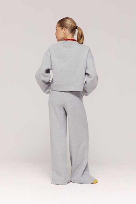Harper & Yve grijze dames sweater | Model