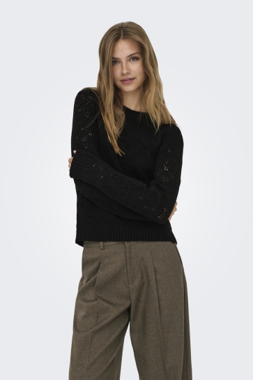 Jacqueline de Yong JDYAMANDA LIFE L/S O-NECK PULLOVER 15355617 BLACK