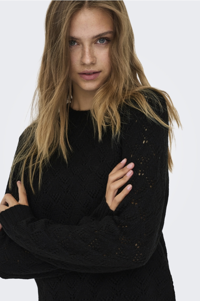 Jacqueline de Yong zwarte dames trui | Kleurstaal