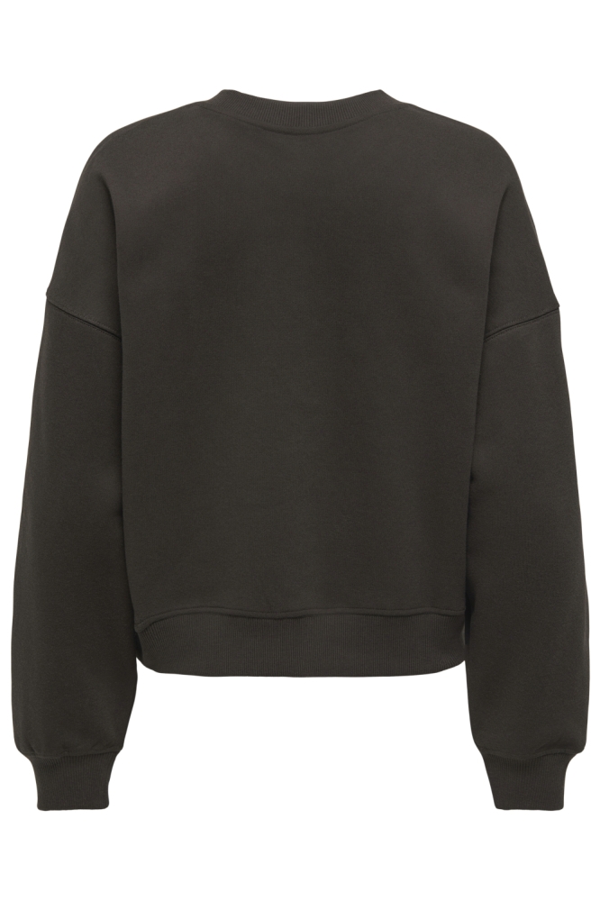 Only bruine dames sweater | Achteraanzicht