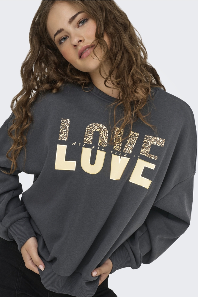 Only grijze dames sweater | Model vooraanzicht