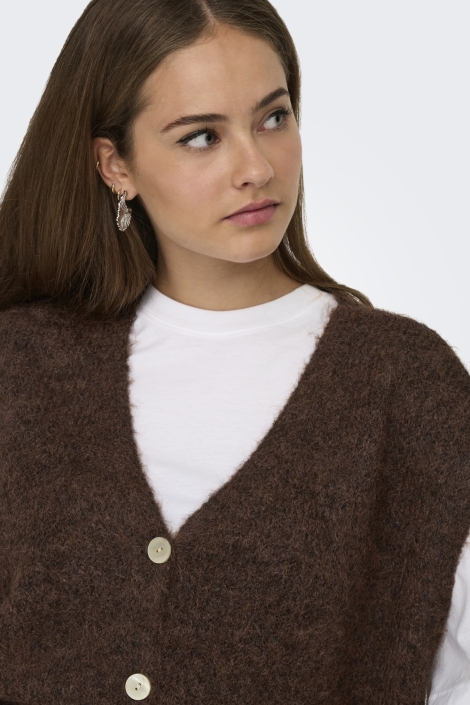 Only bruine dames gilet | Close up