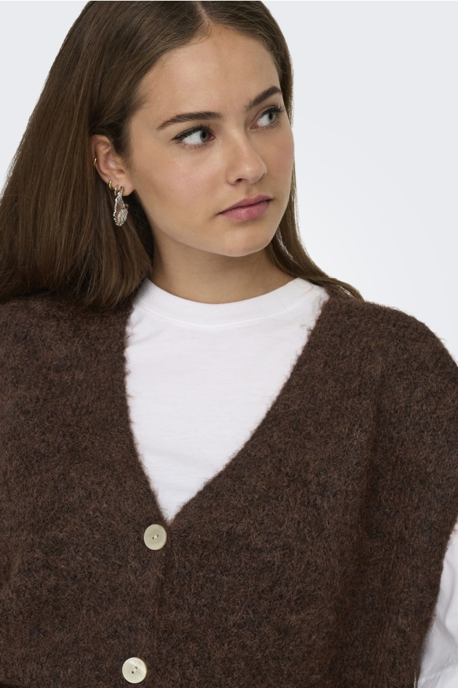 Only bruine dames gilet | Close up