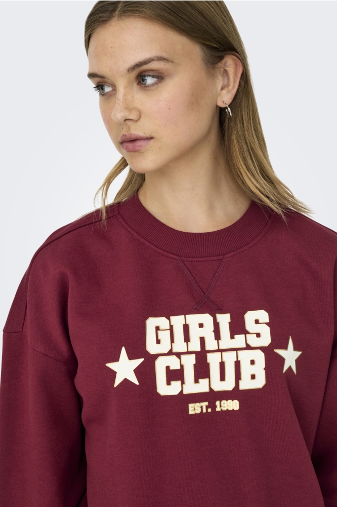 Only bordeaux dames sweater | Close up
