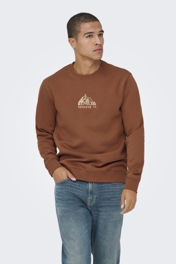 Only Trui ONSCONNOR SIMPLE LIFE REG LS CREW S 22035961 Sequoia/REDWOOD CO