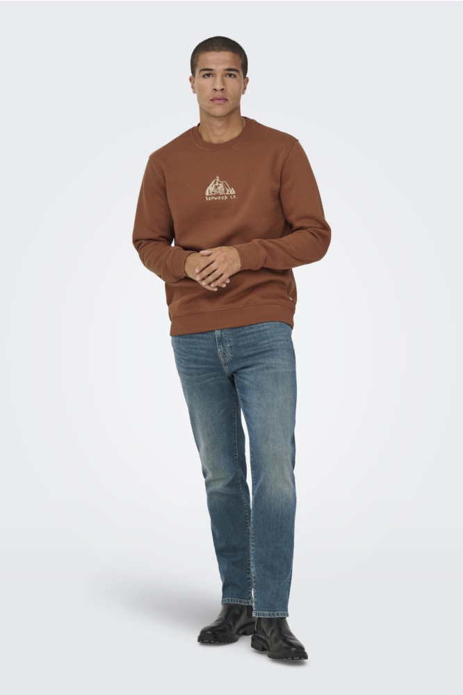Only cognac heren sweater | Model