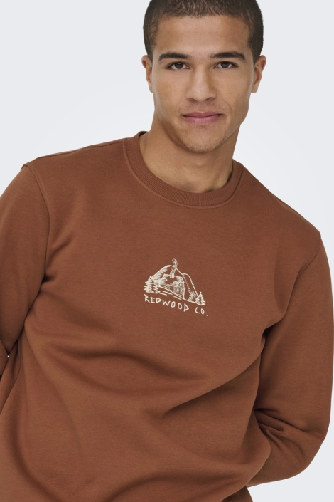 Only cognac heren sweater | Close up