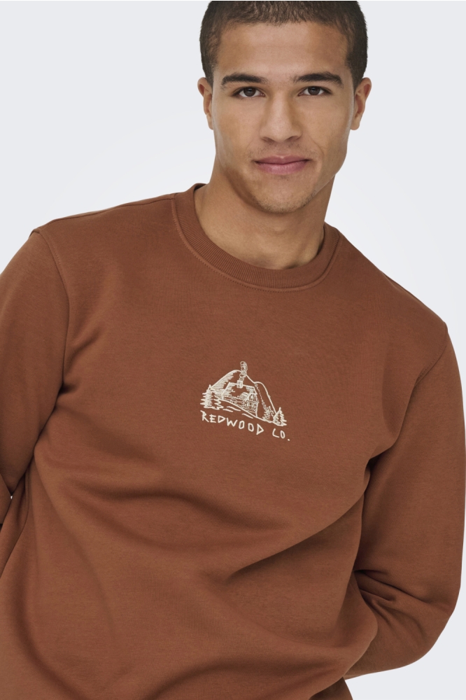 Only cognac heren sweater | Close up