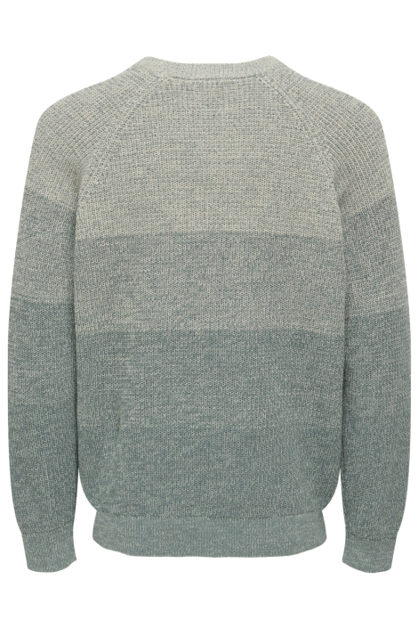 Only & Sons beige heren trui | Achteraanzicht