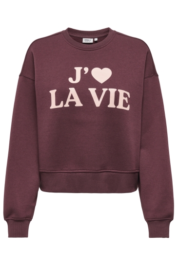 Only ONLBEST L/S PRINT CREW NECK SWT 15357681 DECADENT CHOCOLATE/VIE