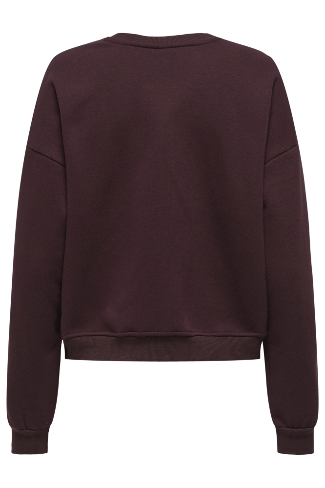 Only bruine dames sweater | Achteraanzicht