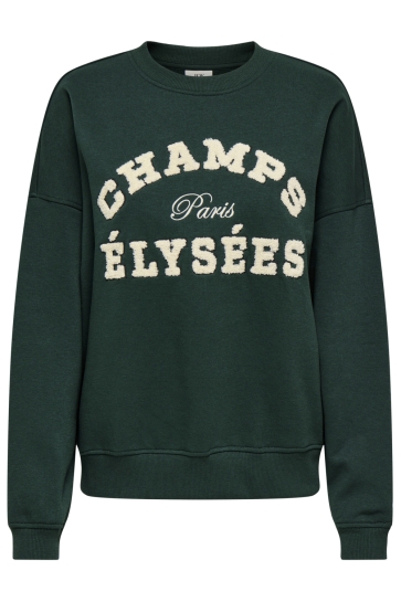 Jacqueline de Yong Trui JDYMESA L/S O-NECK EMB SWEAT JRS NO 15370526 PINE GROVE/CHAMPS EMB